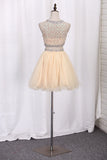 2024 Homecoming Robes Scoop A-Line perlée Bodice Tulle Short / Mini