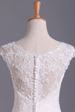 2024 New A-Line robes de mariée Bateau Traîne Bouton couvert Tulle &amp; Applique dentelle