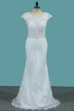 2024 Robes de mariée en dentelle Scoop avec bouton recouvert de perles Waistline ouvert dos