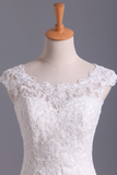 2024 New A-Line robes de mariée Bateau Traîne Bouton couvert Tulle &amp; Applique dentelle
